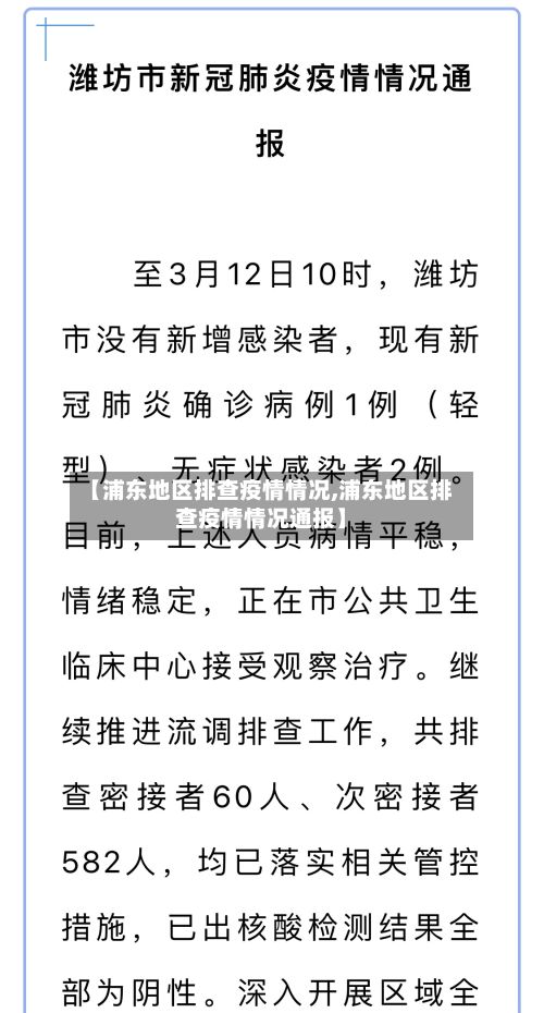 【浦东地区排查疫情情况,浦东地区排查疫情情况通报】