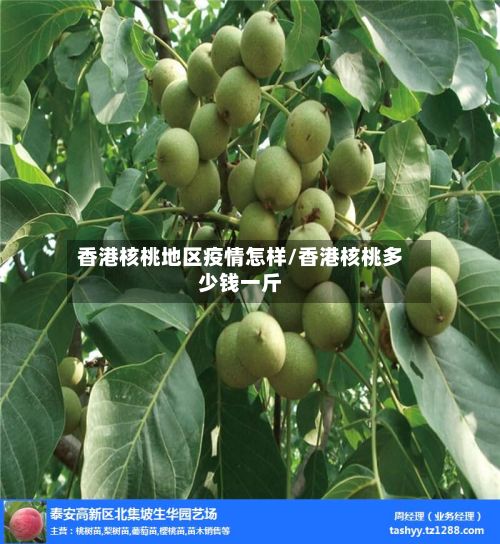 香港核桃地区疫情怎样/香港核桃多少钱一斤