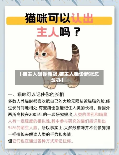 【猫主人确诊新冠,猫主人确诊新冠怎么办】