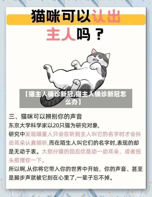 【猫主人确诊新冠,猫主人确诊新冠怎么办】-第2张图片