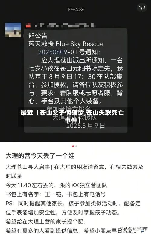 最近【苍山父子俩确诊,苍山失联死亡事件】-第3张图片