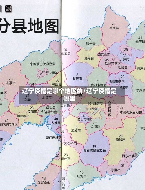 辽宁疫情是哪个地区的/辽宁疫情是哪里-第1张图片