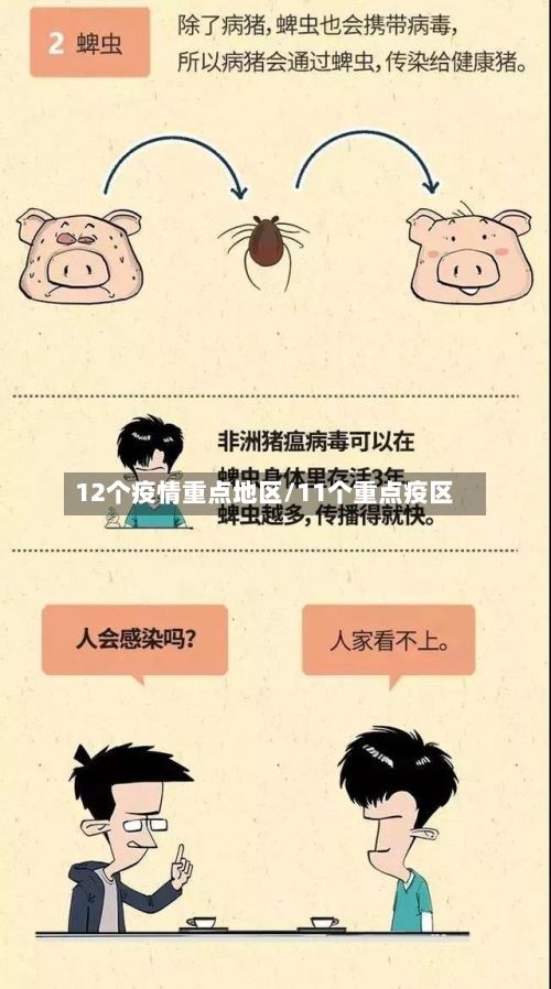 12个疫情重点地区/11个重点疫区