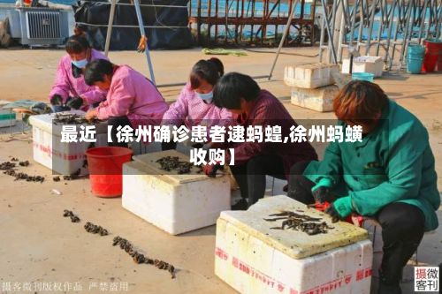 最近【徐州确诊患者逮蚂蝗,徐州蚂蟥收购】