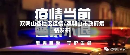 双鸭山各地区疫情/双鸭山市政府疫情发布-第3张图片