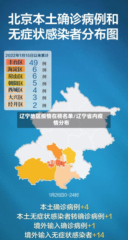 辽宁地区疫情在榜名单/辽宁省内疫情分布