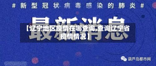 【辽宁地区疫情在哪查询,查询辽宁省疫情情况】-第2张图片