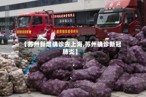 【苏州新增确诊去上海,苏州确诊新冠肺炎】-第1张图片