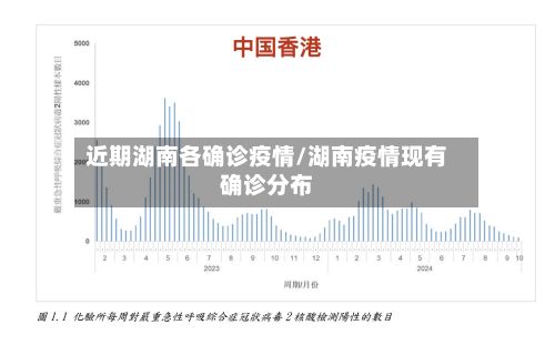 近期湖南各确诊疫情/湖南疫情现有确诊分布-第1张图片