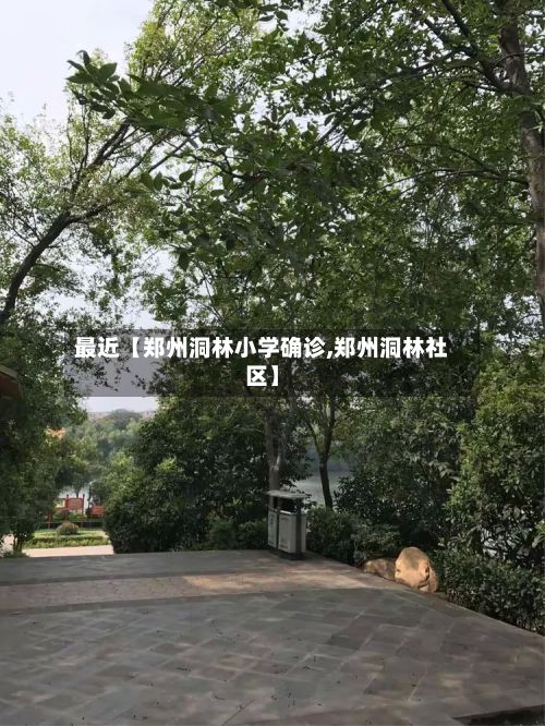 最近【郑州洞林小学确诊,郑州洞林社区】-第3张图片