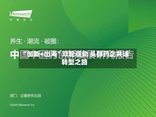 “创新+出海”双轮驱动 头部药企共话转型之路-第3张图片
