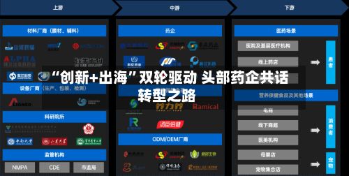 “创新+出海”双轮驱动 头部药企共话转型之路-第2张图片