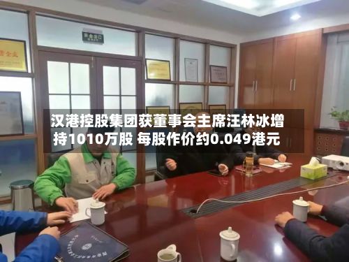 汉港控股集团获董事会主席汪林冰增持1010万股 每股作价约0.049港元-第2张图片