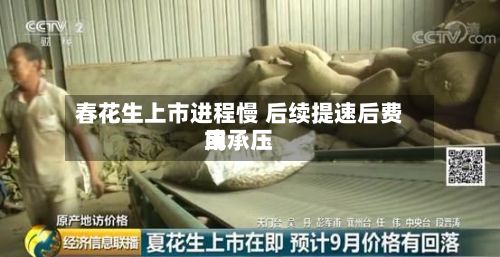 春花生上市进程慢 后续提速后费用
或承压-第2张图片