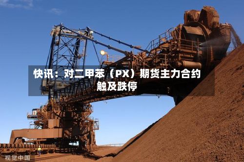快讯：对二甲苯（PX）期货主力合约触及跌停-第1张图片