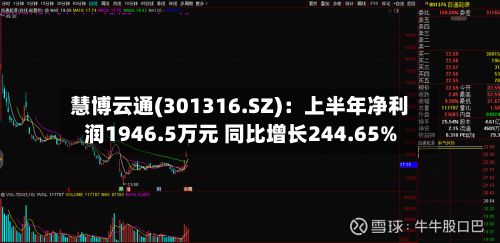 慧博云通(301316.SZ)：上半年净利润1946.5万元 同比增长244.65%