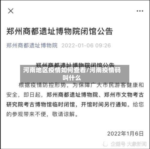 河南地区疫情如何查看/河南疫情码叫什么