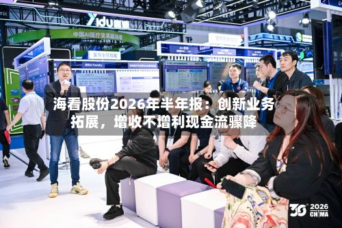 海看股份2026年半年报：创新业务拓展，增收不增利现金流骤降-第3张图片