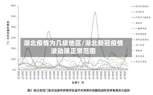 湖北疫情为几级地区/湖北新冠疫情波动属正常范围-第2张图片