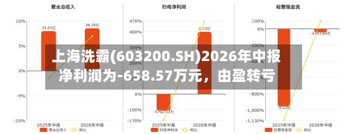 上海洗霸(603200.SH)2026年中报净利润为-658.57万元，由盈转亏-第2张图片