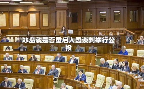 冰岛就是否重启入盟谈判举行公投