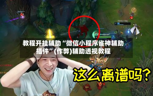 教程开挂辅助“微信小程序雀神辅助插件”(作弊)辅助透视教程-第2张图片