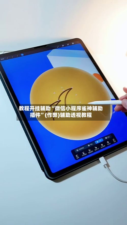 教程开挂辅助“微信小程序雀神辅助插件”(作弊)辅助透视教程-第3张图片