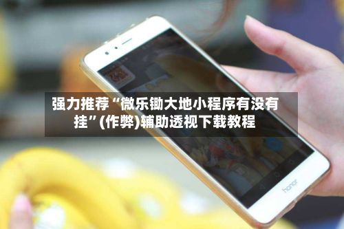 强力推荐“微乐锄大地小程序有没有挂”(作弊)辅助透视下载教程