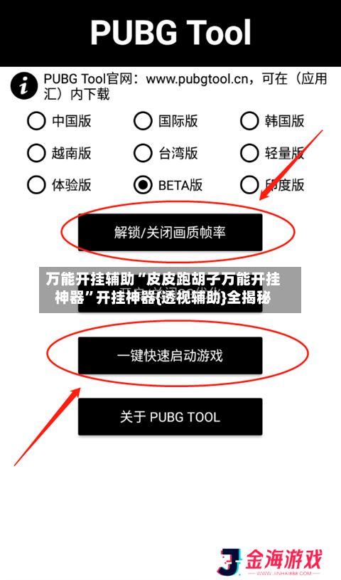 万能开挂辅助“皮皮跑胡子万能开挂神器”开挂神器{透视辅助}全揭秘-第3张图片