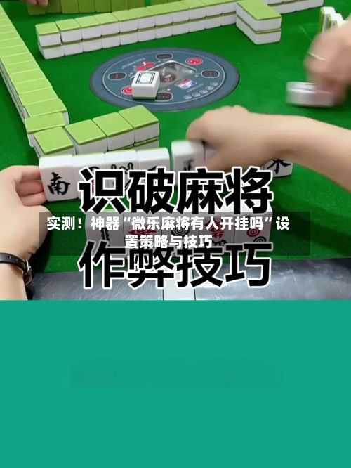 实测！神器“微乐麻将有人开挂吗”设置策略与技巧-第3张图片