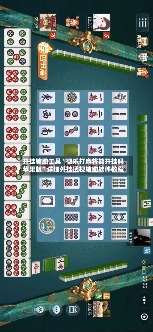 开挂辅助工具“微乐打麻将能开挂吗苹果版”详细外挂透视辅助软件教程-第2张图片