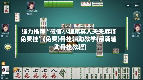 强力推荐“微信小程序真人天天麻将免费挂	”(免费)开挂辅助教学(最新辅助开挂教程)-第2张图片