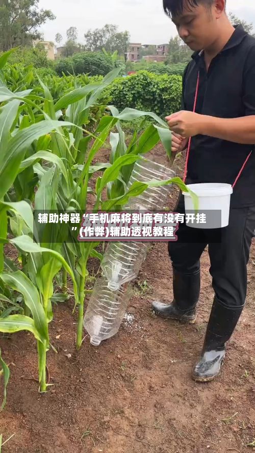 辅助神器“手机麻将到底有没有开挂”(作弊)辅助透视教程-第3张图片