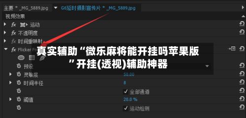 真实辅助“微乐麻将能开挂吗苹果版”开挂(透视)辅助神器-第2张图片
