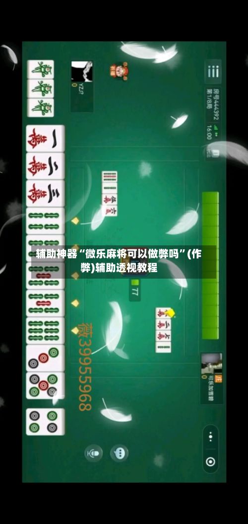辅助神器“微乐麻将可以做弊吗”(作弊)辅助透视教程-第3张图片