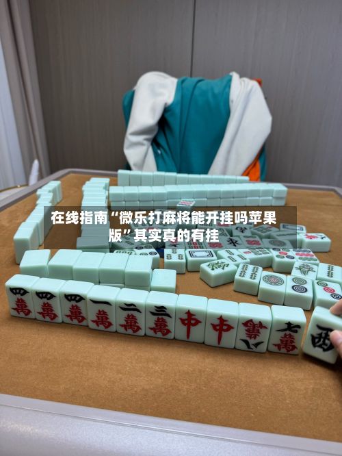 在线指南“微乐打麻将能开挂吗苹果版	”其实真的有挂-第2张图片
