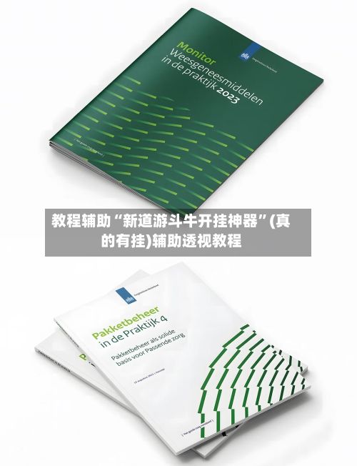 教程辅助“新道游斗牛开挂神器”(真的有挂)辅助透视教程-第2张图片