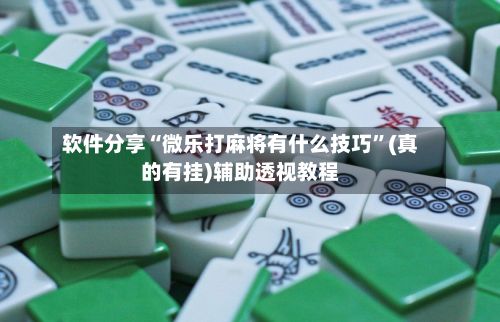 软件分享“微乐打麻将有什么技巧”(真的有挂)辅助透视教程-第3张图片