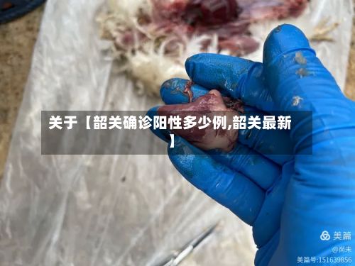 关于【韶关确诊阳性多少例,韶关最新】-第2张图片