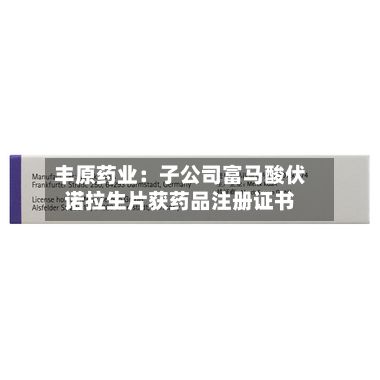 丰原药业:子公司富马酸伏诺拉生片获药品注册证书-第3张图片