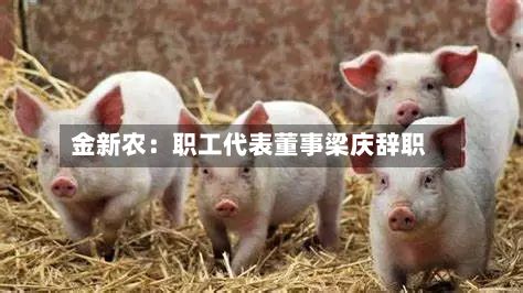 金新农：职工代表董事梁庆辞职-第2张图片