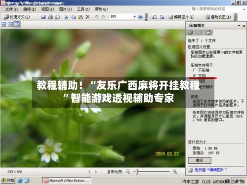 教程辅助！“友乐广西麻将开挂教程”智能游戏透视辅助专家-第2张图片