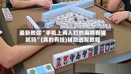 最新教你“手机上两人打的麻将有猫腻吗”(真的有挂)辅助透视教程-第2张图片