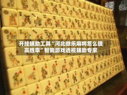 开挂辅助工具“河北微乐麻将怎么提高胜率”智能游戏透视辅助专家