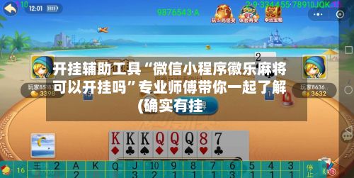 开挂辅助工具“微信小程序徽乐麻将可以开挂吗”专业师傅带你一起了解(确实有挂-第2张图片