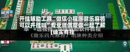 开挂辅助工具“微信小程序徽乐麻将可以开挂吗”专业师傅带你一起了解(确实有挂-第3张图片