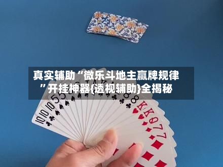 真实辅助“微乐斗地主赢牌规律”开挂神器{透视辅助}全揭秘-第2张图片