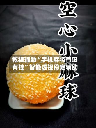 教程辅助“手机麻将有没有挂”智能透视稳定辅助-第2张图片