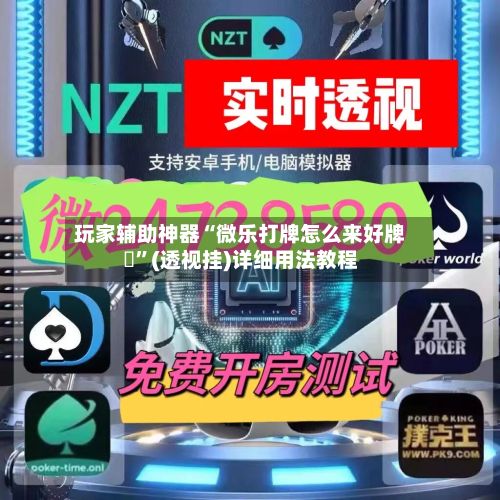 玩家辅助神器“微乐打牌怎么来好牌	”(透视挂)详细用法教程-第3张图片