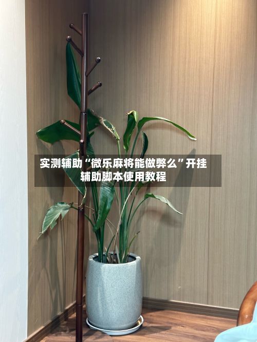 实测辅助“微乐麻将能做弊么”开挂辅助脚本使用教程